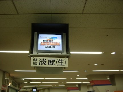 SANY0272.jpg