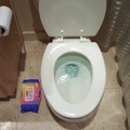 toilet.jpg