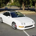 White_Teg.jpg