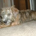 Mikka_020.jpg