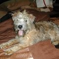 Mikka_048.jpg