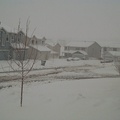 snow_20030318_007.jpg