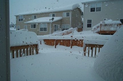 snow_20030319_002.jpg