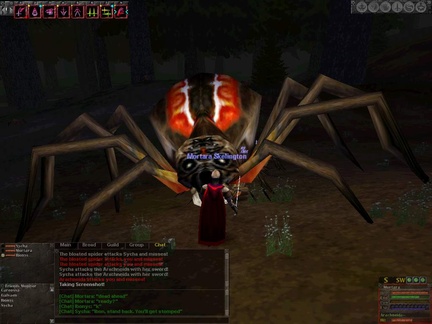 big_spider.jpg