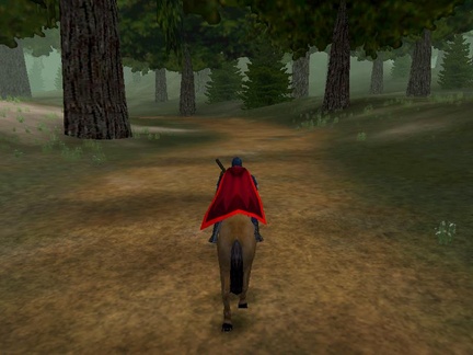 horseride2.jpg