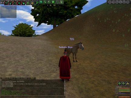 horsey.jpg