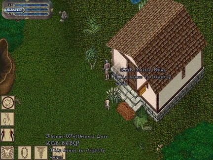 kgbhouse2.jpg