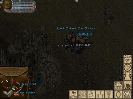 kiriko.jpg