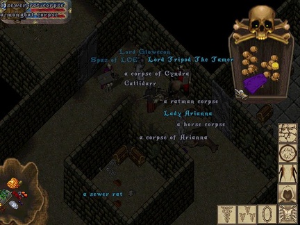 ladyarianna.jpg