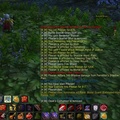 WoWScrnShot_081306_163734.jpg