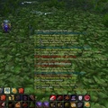 WoWScrnShot_081706_134729.jpg