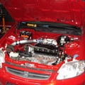 DSC02353.JPG