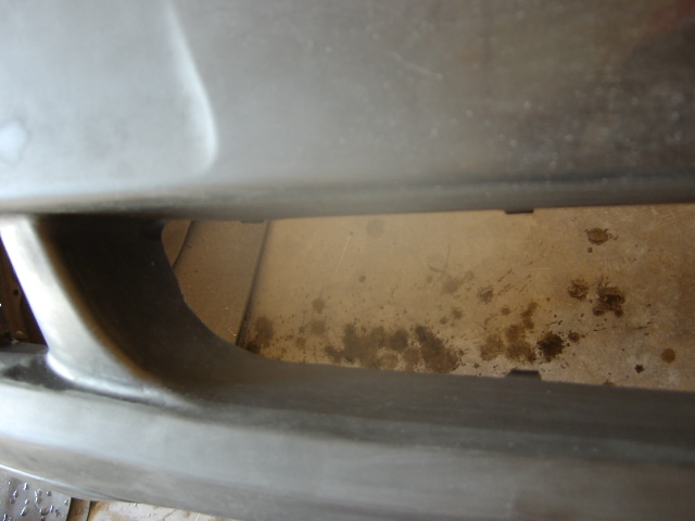 SANY0168.jpg